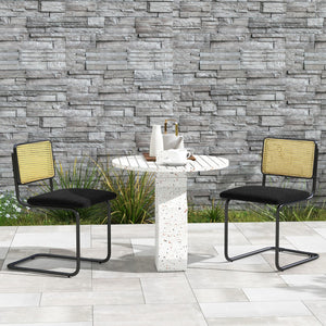NNECW 2 Pieces Mid-Century Modern Dining Chair with Cane Back & Cantilever Design