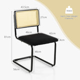 NNECW 2 Pieces Mid-Century Modern Dining Chair with Cane Back & Cantilever Design