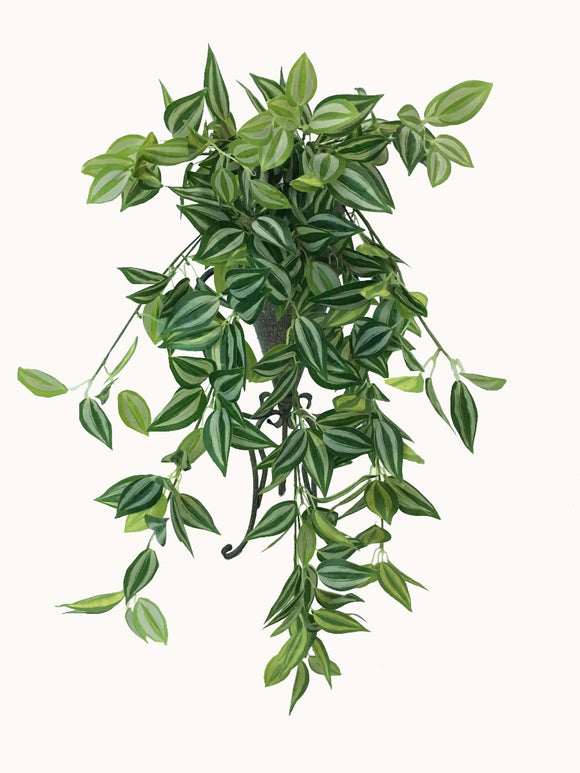 NNEDSZ White and Green Hanging Philodendron Bush 80cm