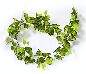 NNEDSZ Yellow and Red Pothos Garland 190cm