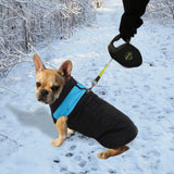 NNEIDS Dog Winter Jacket Padded Waterproof Pet Clothes Windbreaker Coat L Blue