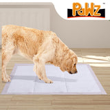 NNEIDS 200 X Pet Training Pads Puppy Dog Cat Pee Toilet Pad Cushion Meadow Scent