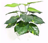 NNEDSZ Stem 32cm