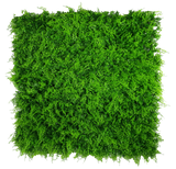 NNEDSZ Fern Vertical Garden UV Stabilised 1m X 1m
