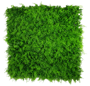 NNEDSZ Fern Vertical Garden UV Stabilised 1m X 1m