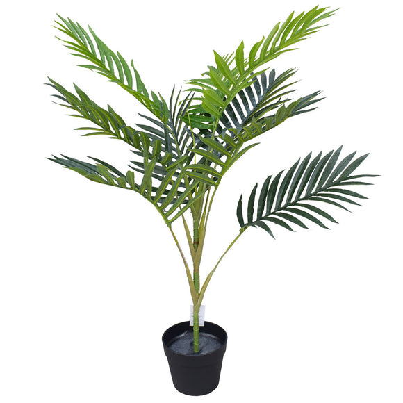 NNEDSZ Potted Mountain Palm 100cm