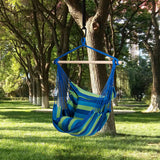 NNECW Hanging Rope Swing Seat with 2 Seats for Outdoor Play-Blue