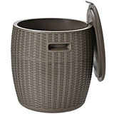 NNECW 45L Patio Weather-resistant Ice Cooler with Lid for Party and Poolside