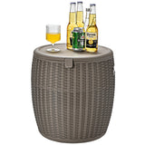 NNECW 45L Patio Weather-resistant Ice Cooler with Lid for Party and Poolside