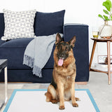 NNECW 300 Pieces Dog Pee pads with Super Absorbent for Doggies