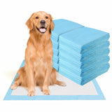 NNECW 300 Pieces Dog Pee pads with Super Absorbent for Doggies