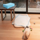 NNECW 300 Pieces Dog Pee pads with Super Absorbent for Doggies