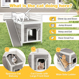 NNECW Feral Kitty Houses with Escape Doors and Wide Side Ladder for Pet