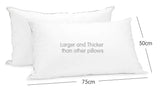NNEDPE Duck Down Feather Pillow Twin Set - 1.3kg