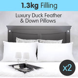 NNEDPE Duck Down Feather Pillow Twin Set - 1.3kg