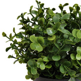 NNEDSZ Potted Artificial Buxus Plant UV Resistant 20cm
