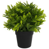 NNEDSZ Potted Artificial Mimosa Fern UV Resistant 20cm