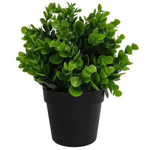 NNEDSZ Potted Artificial Peperomia Plant UV Resistant 20cm