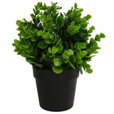 NNEDSZ Potted Artificial Peperomia Plant UV Resistant 20cm