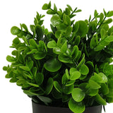 NNEDSZ Potted Artificial Peperomia Plant UV Resistant 20cm