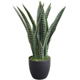 NNEDSZ Snake Plant UV Resistant 60cm