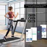 NNECW 2 in 1 Folding Treadmill with Dual LED Display for Home &amp Office-Silver