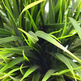 NNEDSZ Ornamental Potted Dense Green Grass 38cm