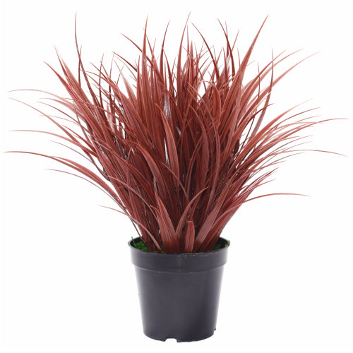 NNEDSZ Ornamental Potted Dense Burgundy Grass 38 cm