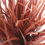 NNEDSZ Ornamental Potted Dense Burgundy Grass 38 cm