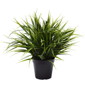 NNEDSZ Ornamental Potted Dense Green Grass 38cm