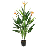NNEDSZ Potted 150cm Bird of Paradise Plant