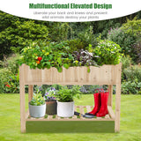 NNECW Wooden Raised Garden Bed with Bottom Shelf & Bed Liner for Plants