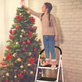 NNECW Folding 3 Steps Iron Stepladder with Platform & Handrail