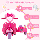 NNECW Kids Ride on Motorbike with Detachable Sidecar for 37-96 Months-Pink
