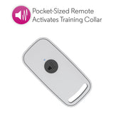 NNEDPE Motorola Ultrasonic Pet Bark Control Collar with Remote