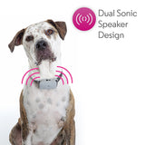 NNEDPE Motorola Ultrasonic Pet Bark Control Collar with Remote