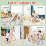 NNECW 4-in-1 Toddler Climbing Toys with 3-Sided Triangle Climber for Indoor & Outdoor Use