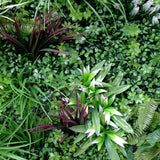 NNEDSZ Green Vertical Garden Green Wall UV Resistant 100cm x 100cm