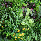 NNEDSZ Fern Vertical Garden Green Wall UV Resistant 100cm x 100cm