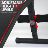 NNEDPE Powertrain Incline Sit-Up Bench with Resistance Bands and Rowing Bar