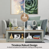 NNEDSZ Home MWinchester Two Tone Coffee Table Stylish Flawless Design 105cm